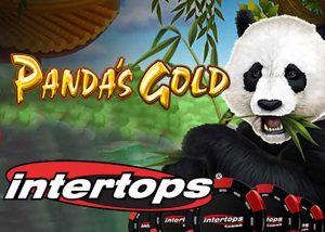 Der Panda’s Gold Slot, ein Spiel rund um niedliche Pandabären